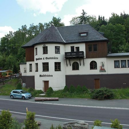 Hotel Waldfrieden Elsterberg Экстерьер фото