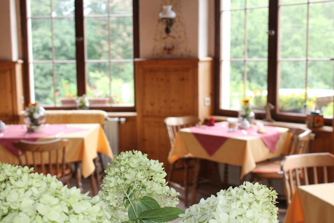 Hotel Waldfrieden Elsterberg Экстерьер фото