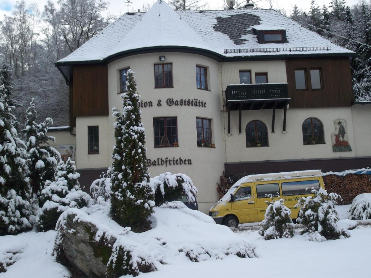 Hotel Waldfrieden Elsterberg Экстерьер фото